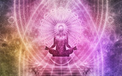 ALIMENTOS PARA ACTIVAR LA GLÁNDULA PINEAL – NUTRICIÓN PARA EL OJO DE LA MENTE