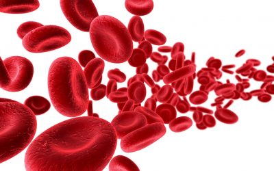 EL AMANECER DE LA NUEVA HUMANIDAD