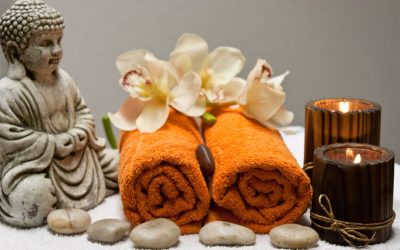 EL DOLOR DE LA ESPALDA