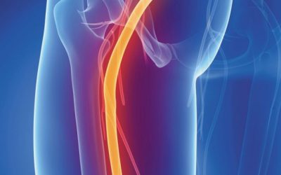 LAS DEFICIENCIAS EN IMÁGENES MÉDICAS