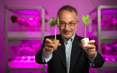 NEUROBIÓLOGO DE LA UNIVERSIDAD DE FLORENCIA: “LAS PLANTAS TIENEN NUESTROS CINCO SENTIDOS Y QUINCE MÁS”