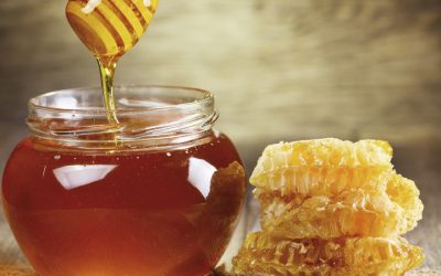 LA MIEL ES EL MEJOR ANTIBIÓTICO NATURAL, ASEGURAN LOS CIENTÍFICOS